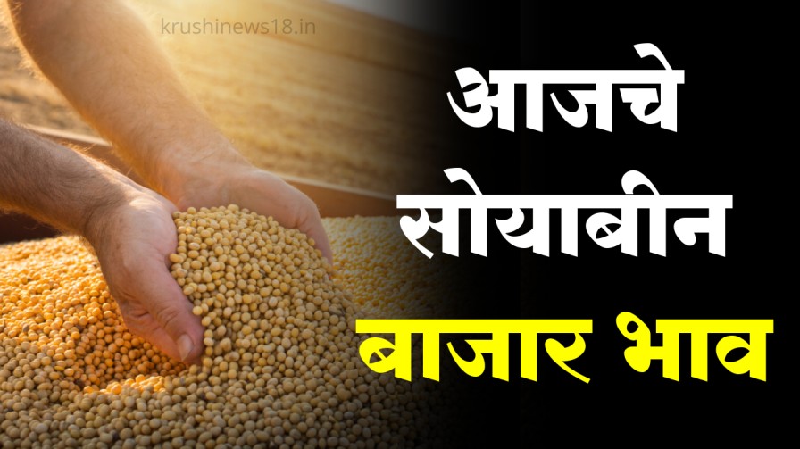 Soybean Market price